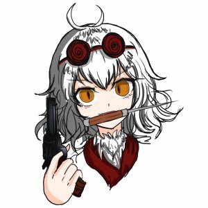 Ran Zerlin